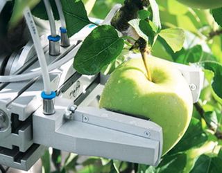 Білоруський робот ‒ збирач яблук незабаром з’явиться у продажу
